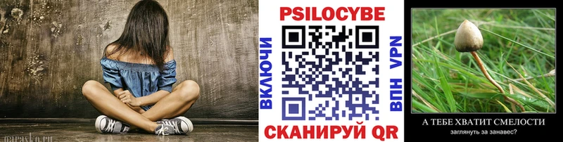 Псилоцибиновые грибы мицелий  маркетплейс официальный сайт  Советская Гавань 